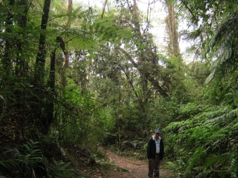 hiking_tours-Ridingcolombia