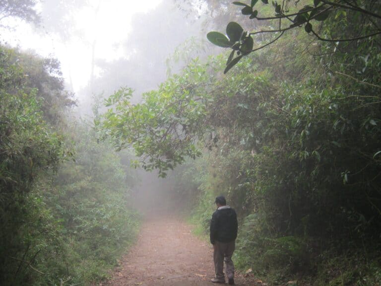 camino-niebla-1-scaled