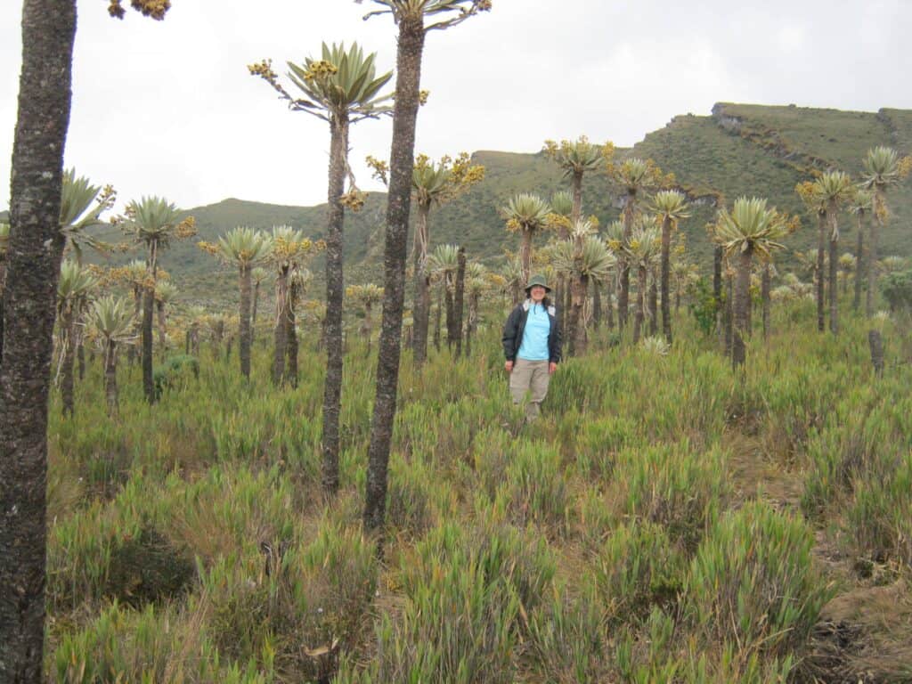 paramo_hikes_Colombia