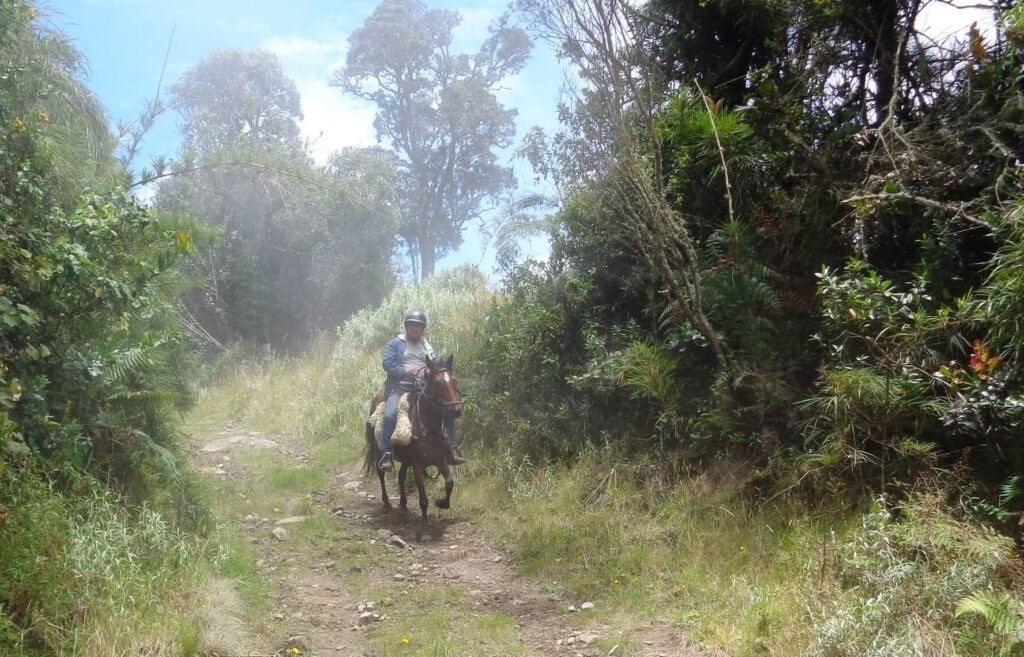 horse_riding_Ridingcolombia_Bogota