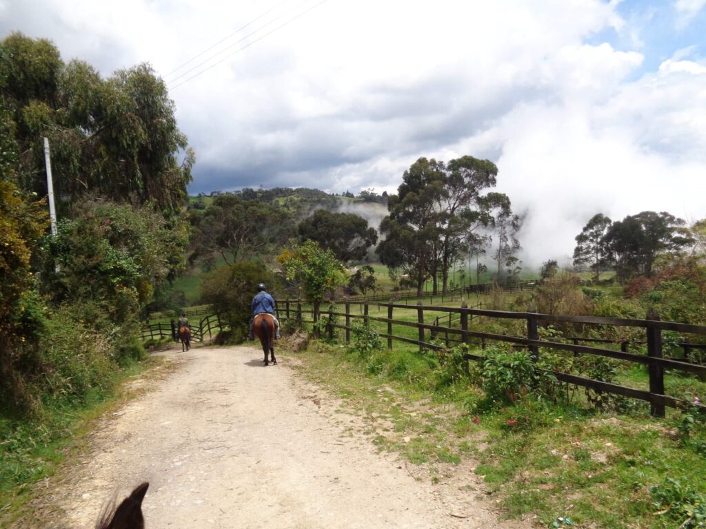RidingcolombiaBogotaHorseRiding