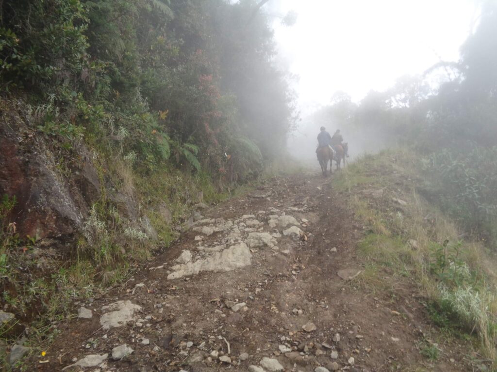 RidingcolombiaNiebla