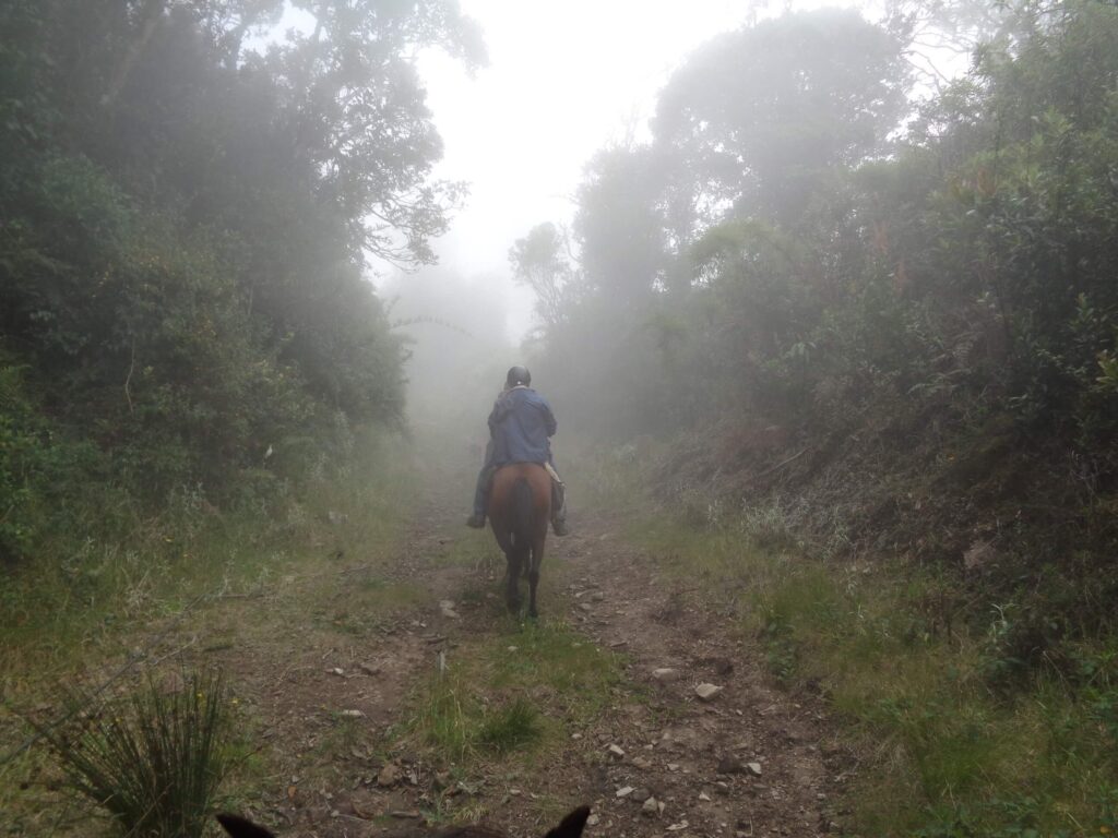 RidingcolombiaNiebla2
