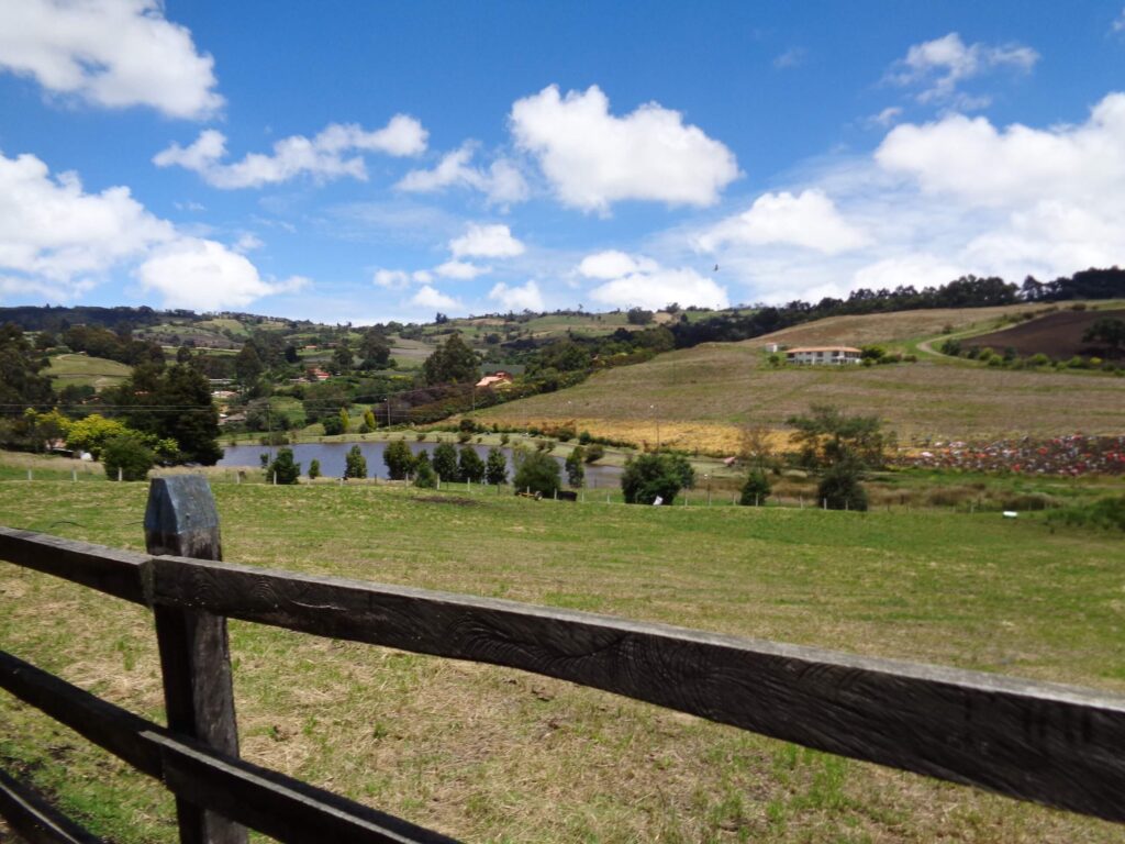 horse_riding_Ridingcolombia_Bogota