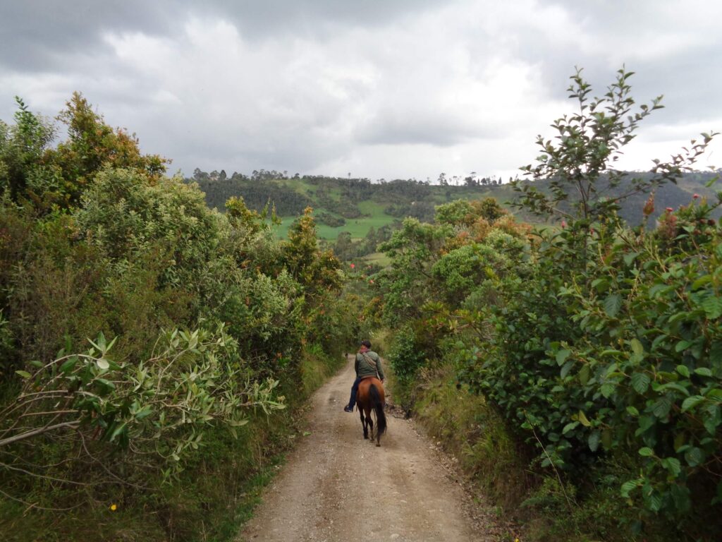 horseback riding Bogota